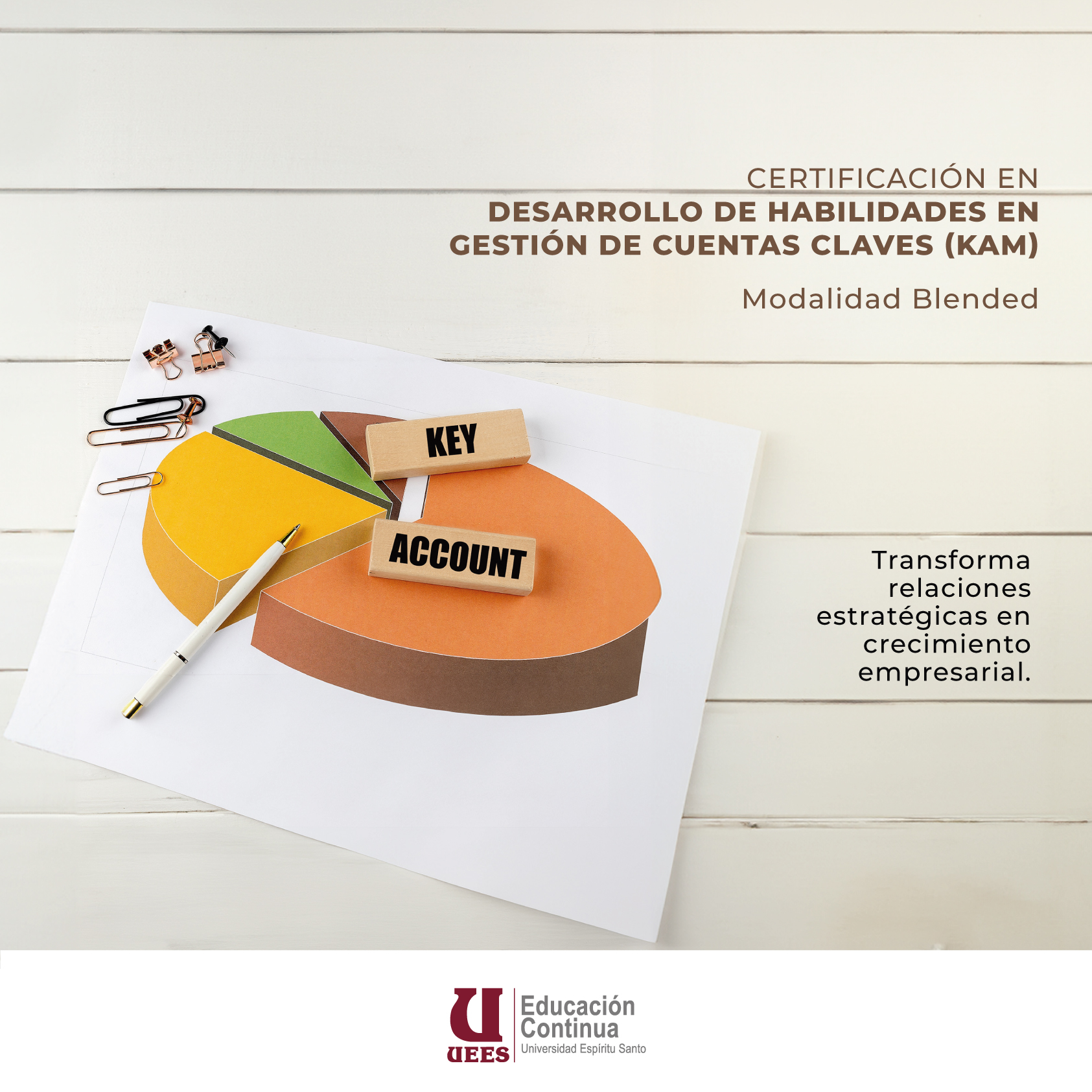 Imagen del Curso