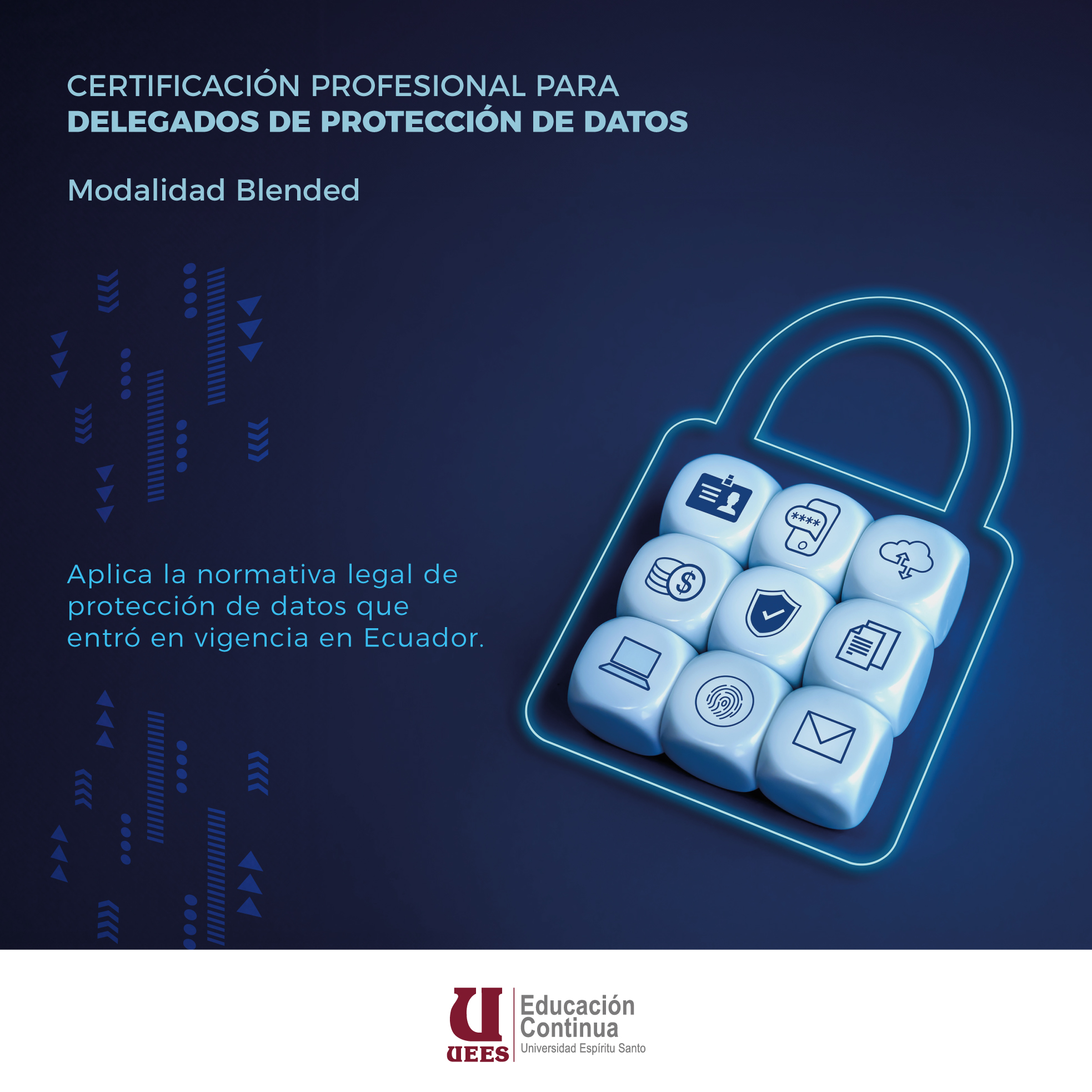 Imagen del Curso