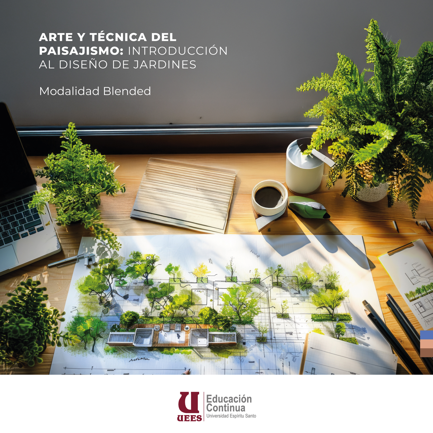 Imagen del Curso