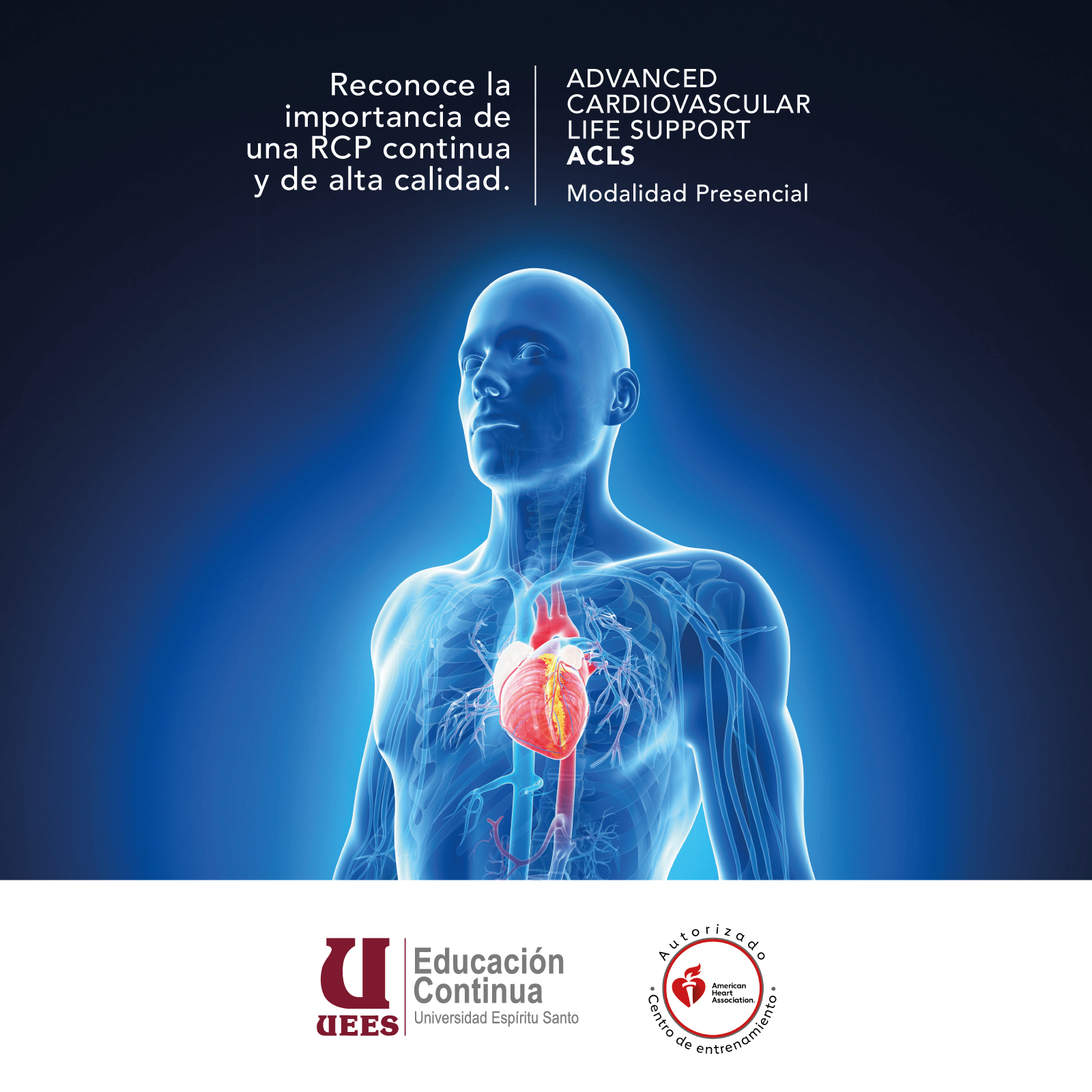Imagen del Curso