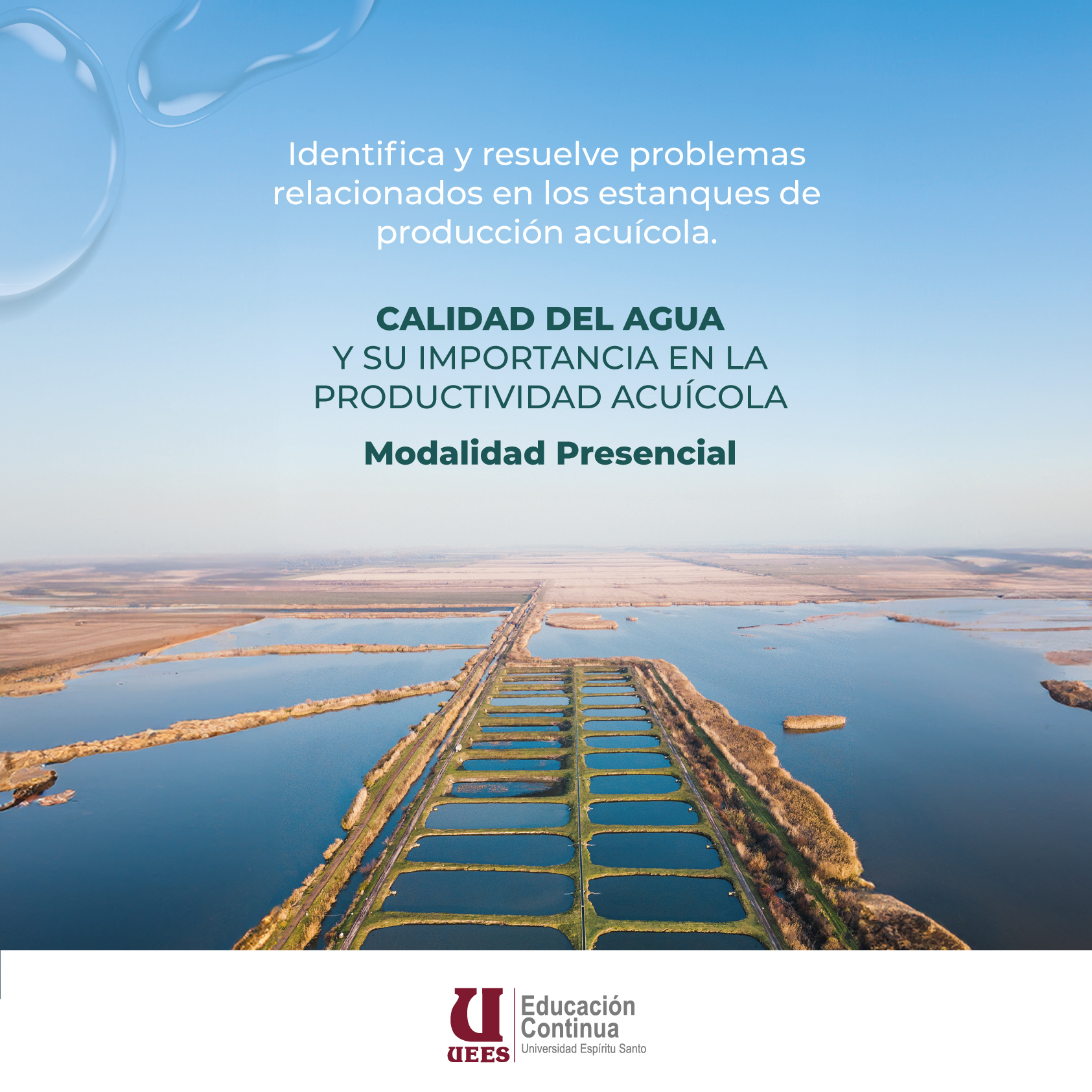 Imagen del Curso
